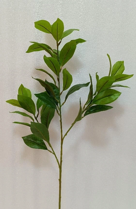 Natural Thick Leaves Stick